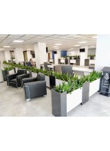 طراحی فضای اداری با گل و گیاه مصنوعی